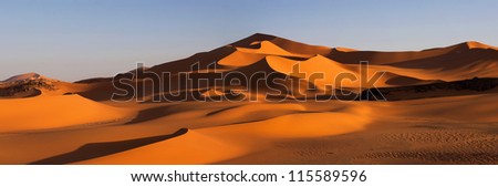 Tuareg and sand dunes in the desert