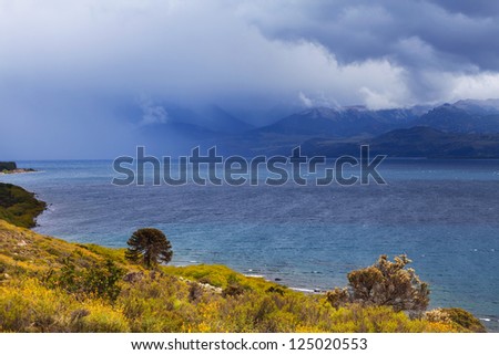 National park Lanin, lake Huechulafquen, San Martin de los Andes, Neuquen, Patagonia, Argentina