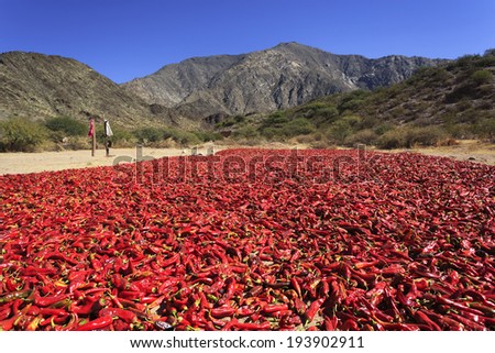 Pepper drying in the mountain village Cachi, Salta, Northern Argentina