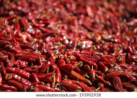 Pepper drying in the mountain village Cachi, Salta, Northern Argentina