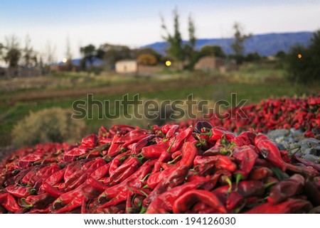 Pepper drying in the mountain village Cachi, valley CalchaquÃ?Â?Ã?Â­es, Salta, Northern Argentina