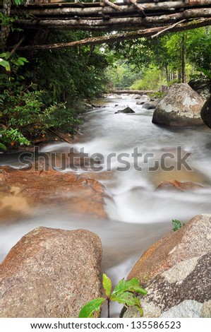 landscape with mountain stream in forest