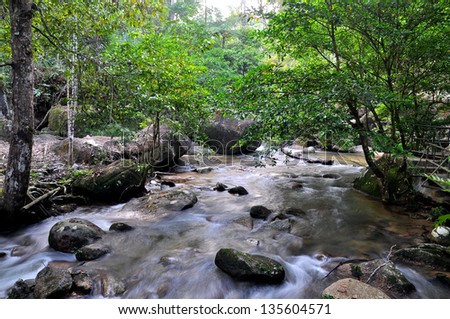 landscape with mountain stream in forest