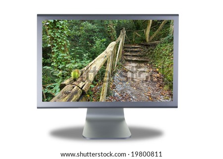 computer lcd or tft monitor with flat screen