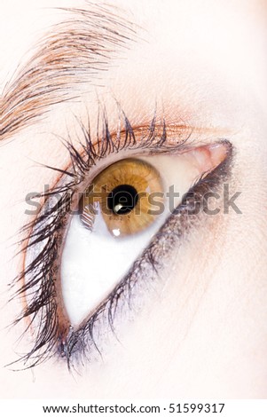 close up of the eyes of a pretty young girl