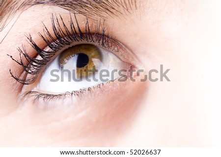 close up of the eyes of a pretty young girl