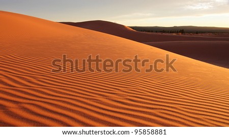 Coral pink sand dunes at sunset