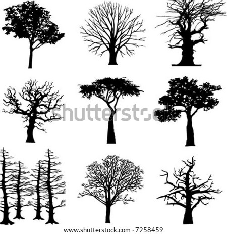 tree silhouette vector. Tree Silhouettes Vector