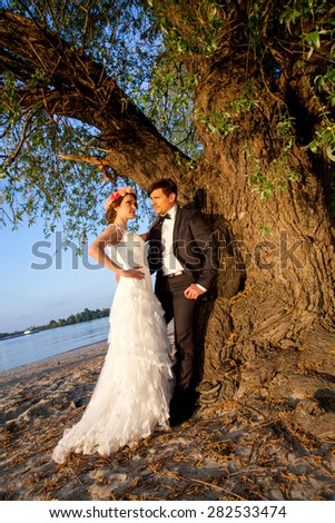 Wedding happy couple below the tree to the river bank on a beautiful sunny day