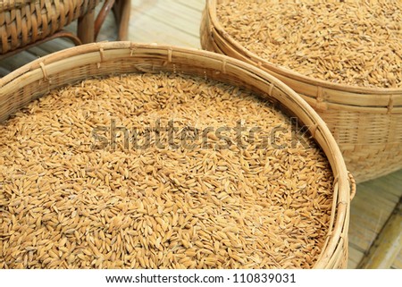 Pile of paddy in brown shell from Thailand ready to process as mass product.
