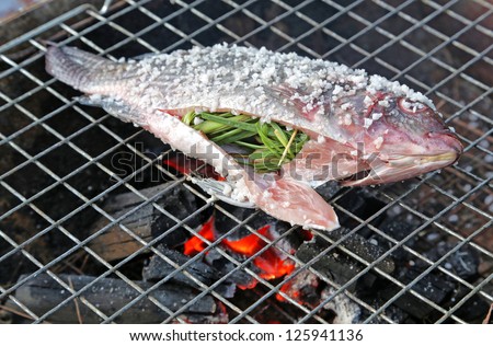 Grilling fish covered by salt on campfire