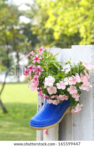 Funny flower decoration set in old rubber boot with wood wall in garden