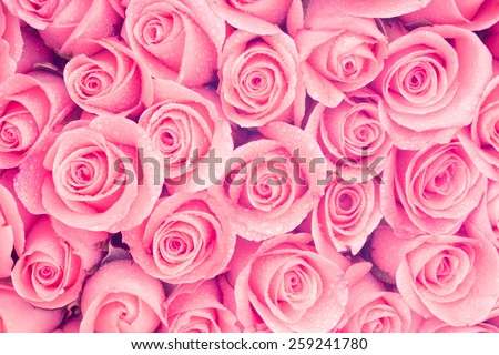 rose vintage style