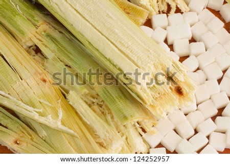 Many white sugar cubes and sugar cane