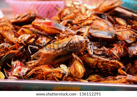 Fried giant water bug