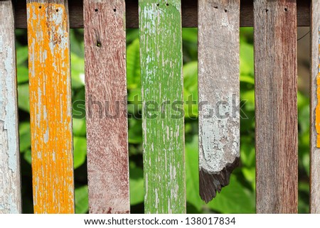 Colorful  wooden fence in garden with plant