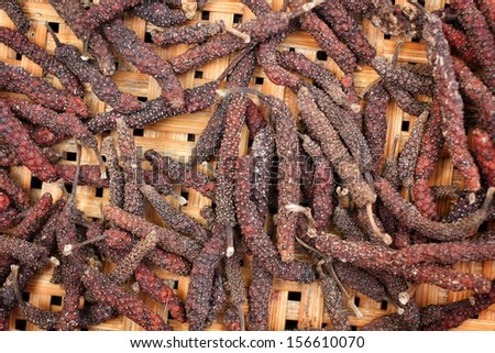 Indian long pepper herb asia