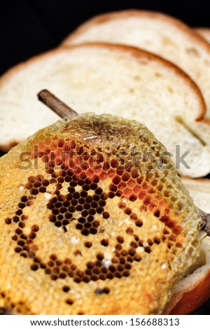 Honeycomb on the branch and bread