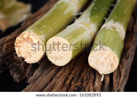 Sugar cane background