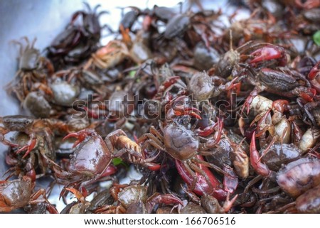 black crab in the market