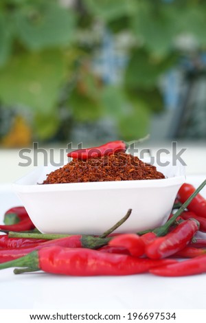 paprika chili powder spices