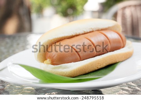 Fast food hot dog