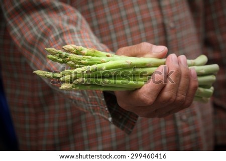 Bunch of asparagus with hand