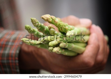 Bunch of asparagus with hand