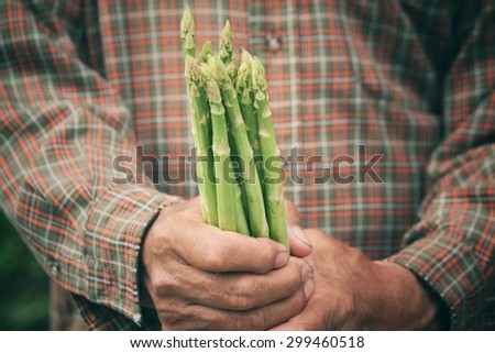 Bunch of asparagus with hands