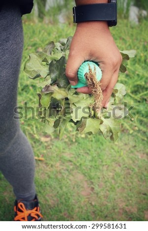 Hands with oak leaf lettuce