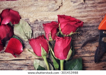 Woman making bouquet with red roses flower