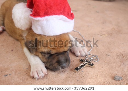 Christmas dog with hat and cross