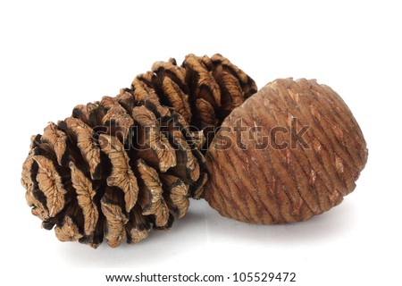 types of cones
