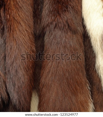 detail of colors on an animal fur coat