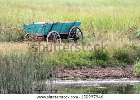 old cart abandoned in the swamps on Danube Delta