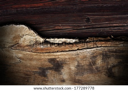 combined abstract wood textures, poplar with shadow on spruce plank