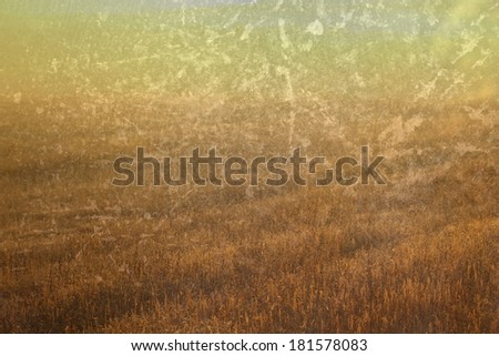 abstract field image with grungy finish over it, resembling old picture
