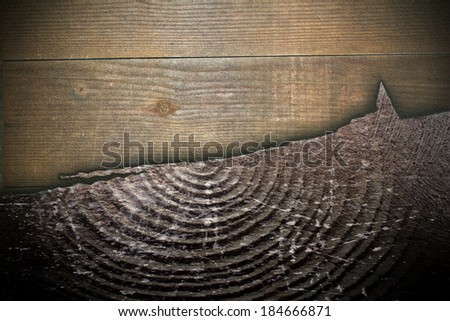 scratches on wooden texture, combined surfaces of plywood and cracked spruce stump