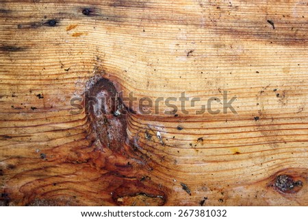 natural dirty spruce plank texture with wood knot