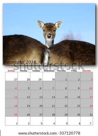 wildlife calendar december 2016 print page layout