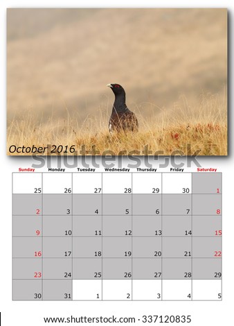 wildlife calendar october 2016 print page layout