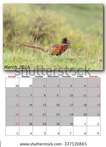 wildlife calendar march 2016 print page layout