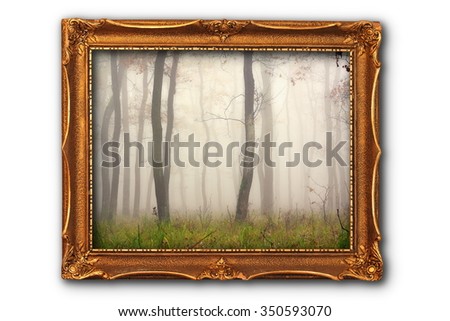 image of misty forest in painting frame isolated over white background