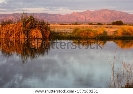 Scenic pink sunup over rural water, vegetation and mountains on cloudy morning/Rural Landscape with Water, Cloud Reflections, Grasses and Mountains at Sunrise/Water, grasses, mountains on cloudy day