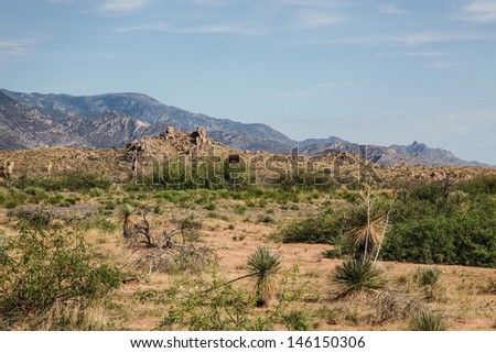 Roadside high-desert scenery with foothills and mountains along highway/Desert Landscape of Mountains and Vegetation/Scene with semi-desert mountains and yucca plants in summer