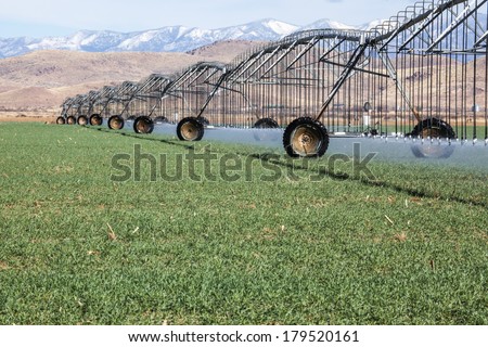 Farming landscape with pivot irrigation method that waters winter crop in high desert southwestern United States/Irrigation Method/Water from aquifer irrigates in a crop circle