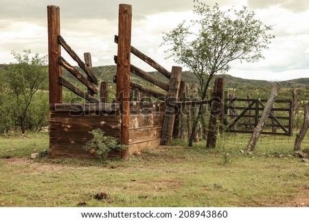 Old wooden loading chute for livestock in countryside/Cattle Loading Chute Constructed of Wood/Cattle loading chute built with logs and boards