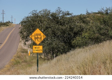 Yellow sign on USA semi-desert road reads LOOSE CATTLE..NEXT 13 MILES on Autumn morning/Yellow USA Road Sign warns about LOOSE CATTLE..NEXT 13 MILES in Semi-Desert/LOOSE CATTLE..NEXT 13 MILES on sign