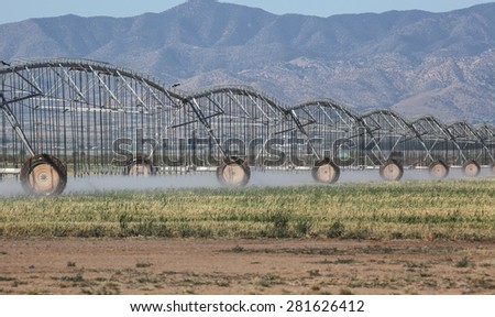 Water transported through sprinkler irrigation system  onto new crop/Wheeled Crop Irrigation System with Water Sprinklers and Trusses on New Farm Field/Water distribution through sprinkler system