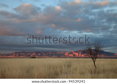 Red sunup color puts light on Cochise Stronghold in Dragoon Mountains, Arizona, USA/Reddish-Pink Winter Dawn Sun lights Granite Rocks of Mountains in Landscape/Winter sunrise color on mountains